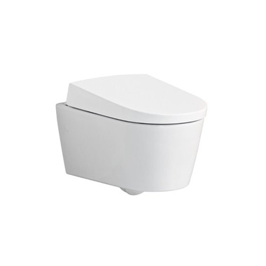 Geberit Aqaclean Sela komplett fali WC alpin fehér +242.810.11.2 "A"